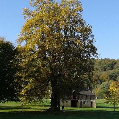 Parc Intérieur