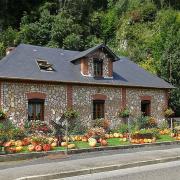 Expo Annuelle Potirons Tancarville